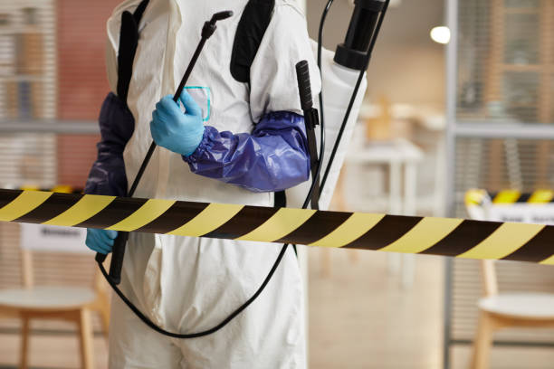 Professional Blood Cleanup technician working in Lakewood, WA